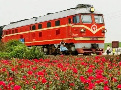 Turisti zachytili zrážku s vlakom na fotografii.
