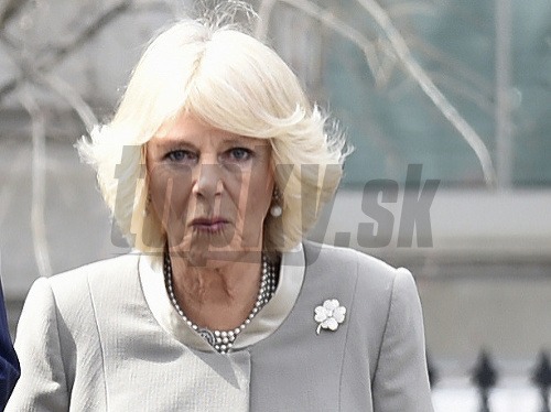 Camilla nepatrí k obľúbeným členom kráľovskej rodiny. 