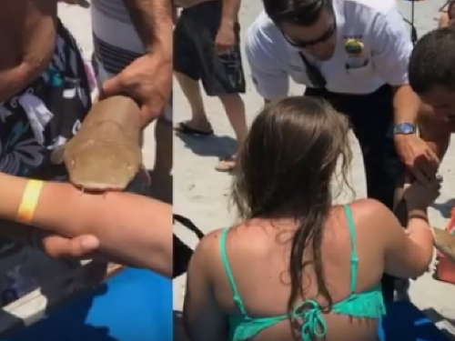 Mladú ženu pohrýzol žralok