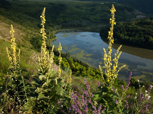 Ilustračný obrázok