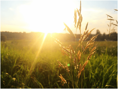 Ilustračný obrázok