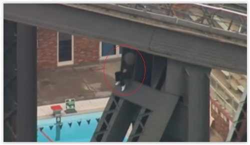 Muž vyliezol na Harbour Bridge v Sydney