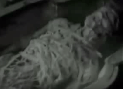 Údajná múmia mimozemšťana