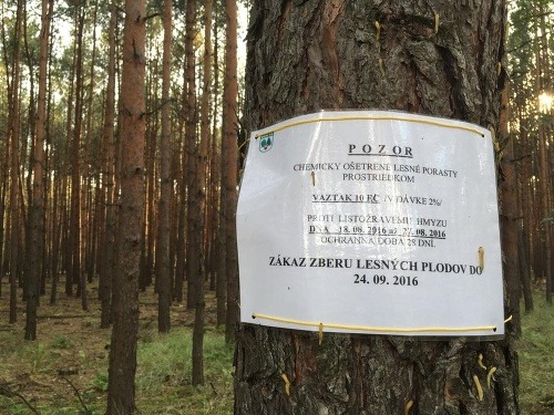 Zákaz v záhorských lesoch.