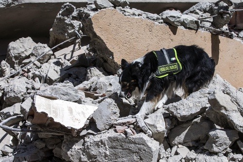 Najmenej traja Briti sú vraj medzi obeťami zemetrasenia
