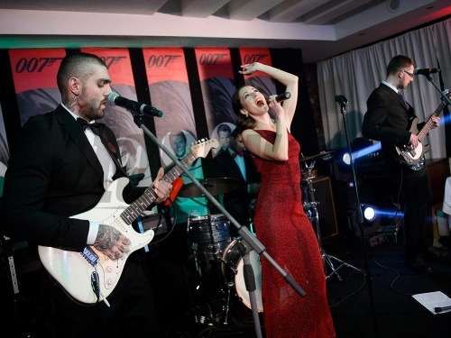 Ilustračný obrázok