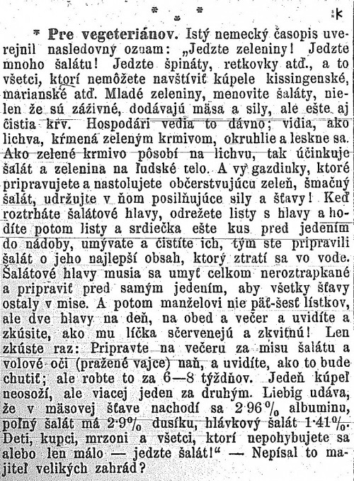Slovenské noviny 1885 (č. 146, 13. 12. 1855)