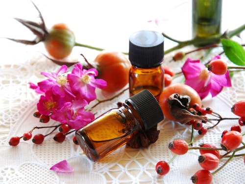 Na prípravu šípkového oleja je teraz ten správny čas. 