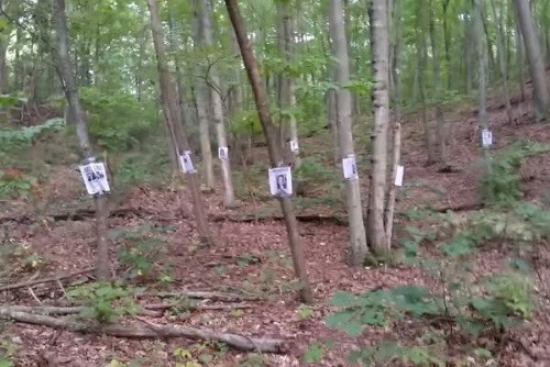 Les plný plagátov nezvestných ľudí