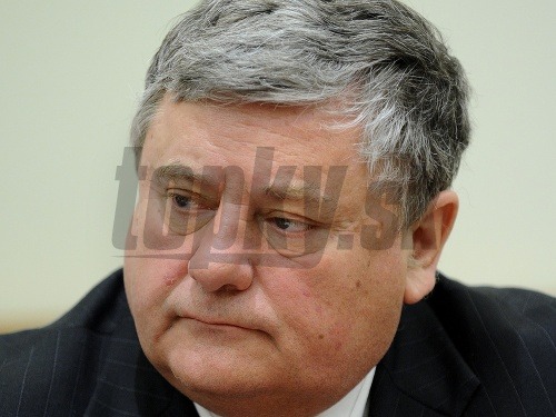 Na snímke prezident Slovenskej asociácie malých podnikov (SAMP) Vladimír Sirotka.