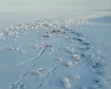 Snehové gule sú podľa vedcov unikátnym dielom prírody. 