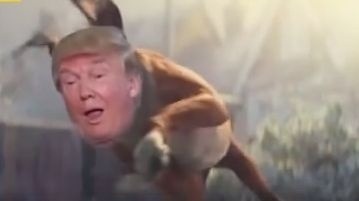 Donald Trump ako bláznivý psík na trampolíne.