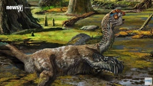 Umelcovo zobrazenie nájdeného dinosaura