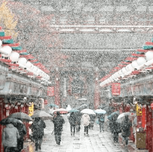 Sneh v Tokiu