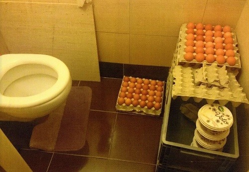 Fotografia z kontroly potravín. Skladovanie vajec na toalete.