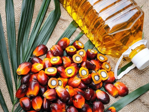 Spôsobuje palmový olej rakovinu? 