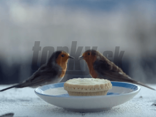 Ilustračný obrázok