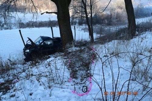 Polícia v Lučenci vyšetruje smrteľnú dopravnú nehodu, ktorá sa stala v piatok 20. januára 2017 o 07.40 h na ceste v katastri obce Šiatorská Bukovinka. Vodič narazil do stromu a zahynul.