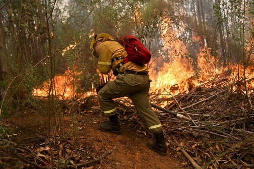 Čile zasiahli obrovské lesné požiare, ktoré sa šíria veľmi rýchlo.