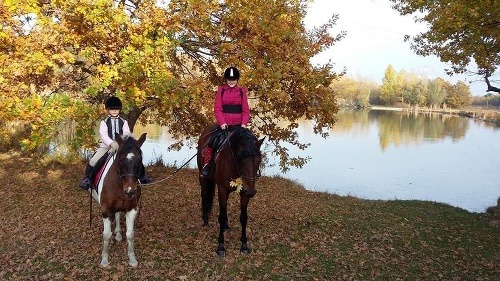 Ilustračný obrázok