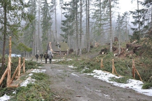Veterná kalamita zničila takmer 10-tisíc stromov