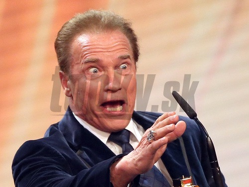  Arnold Schwarzenegger