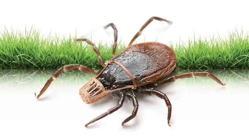 Ilustračný obrázok