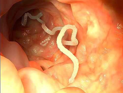 Ilustračný obrázok