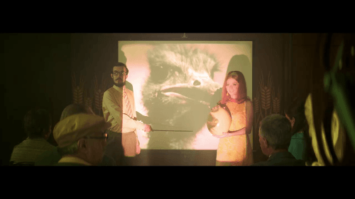 Nápad postaviť pštrosiu farmu bol príliš „uletený