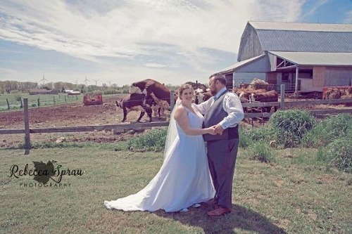 Šťastní novomanželia a šťastné kravy