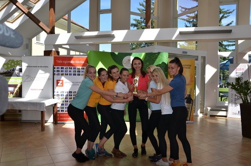 Ilustračný obrázok