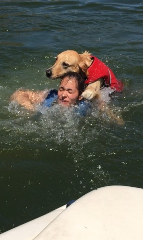 Pes takmer utopil dievča