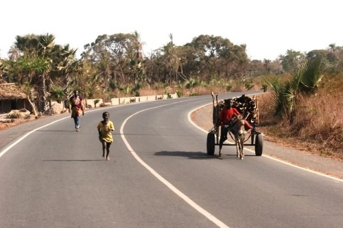 Cesta v Gambii
