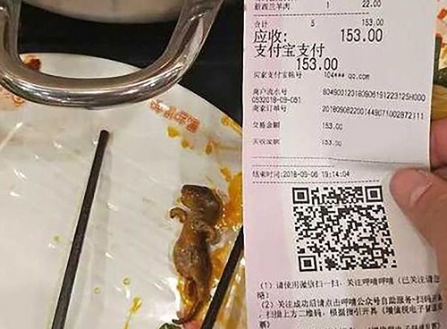 Tehotná zákazníčka s v polievke, ktorú jej naservíroval personál reštaurácie, našla potkana. 