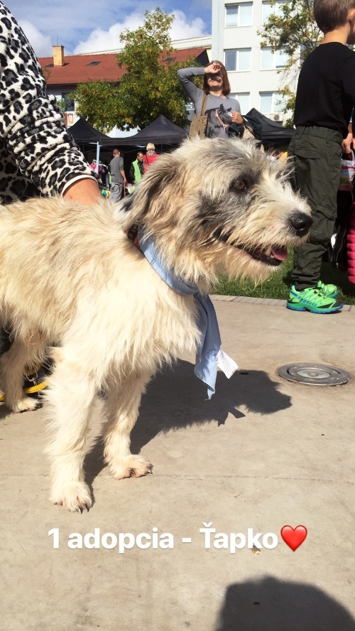 Charitatívne podujatie Nájdite sa