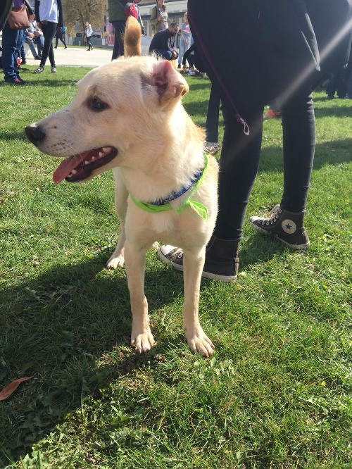 Charitatívne podujatie Nájdite sa