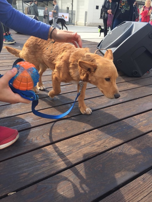 Charitatívne podujatie Nájdite sa