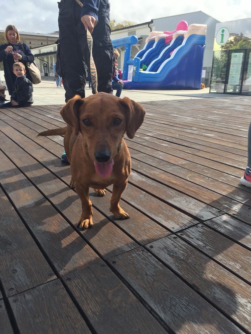 Charitatívne podujatie Nájdite sa