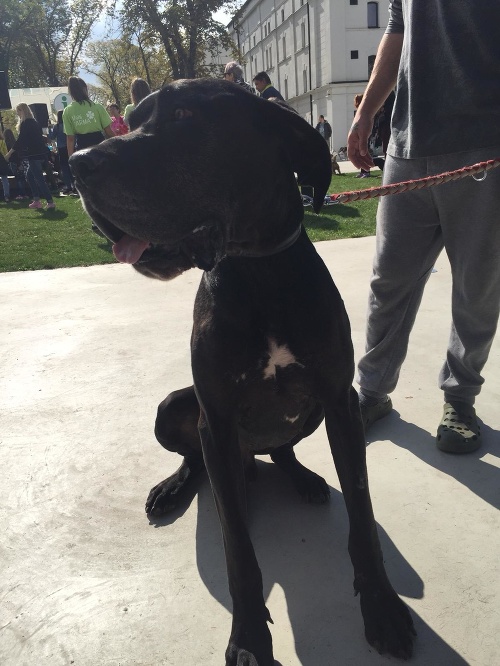 Charitatívne podujatie Nájdite sa