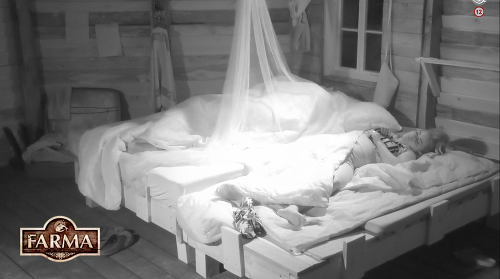 Zatiaľ čo Peter a Táňa si to rozdávali pod baldachýnom, Miša spala na vedľajšej posteli a div, že toľkým natriasaním z nej nevypadla.