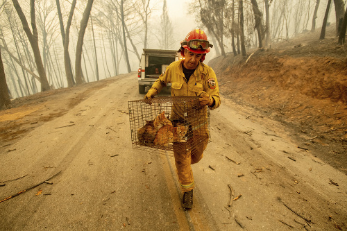 Požiare v Kalifornii