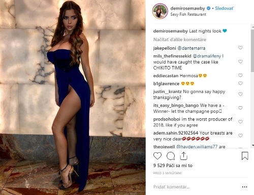 Demi Rose sa fotkami v provokatívnych šatách pochválila aj na instagrame. Jej mužskí fanúšikovia boli nadšení. 