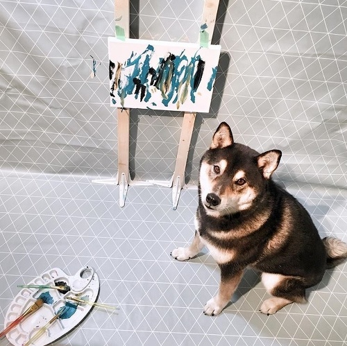 Pes maľuje obrazy.