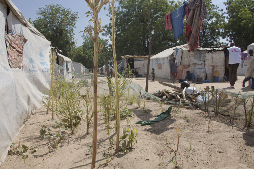 Viac ako 29-tisíc ľudí v súčasnosti žije v tábore v Bame, kde sa nachádza viac ako 60-tisíc nových prišelcov. Niektorí z nich tam boli takmer dva roky a sú úplne závislí od humanitárnej pomoci na ich prežitie. Ísť mimo tábor na farmu je obmedzené a môže byť veľmi nebezpečné. Ľudia začali pestovať listy vedľa svojich stanov.