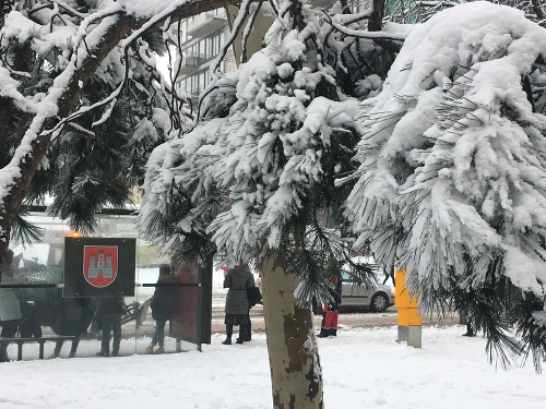 ONLINE Snowfall makes transportation difficult: ONLINE Snowfall makes transportation difficult: