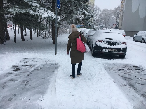 ONLINE Snowfall makes transportation difficult: ONLINE Snowfall makes transportation difficult: