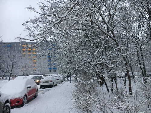 ONLINE Snowfall makes transportation difficult: ONLINE Snowfall makes transportation difficult: