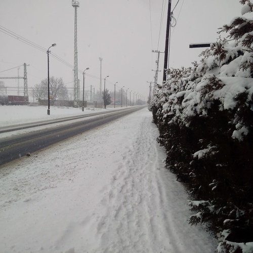 ONLINE Snowfall makes transportation difficult: ONLINE Snowfall makes transportation difficult: