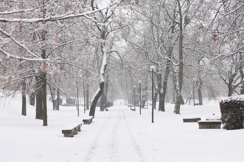 ONLINE Snowfall makes transportation difficult: ONLINE Snowfall makes transportation difficult: