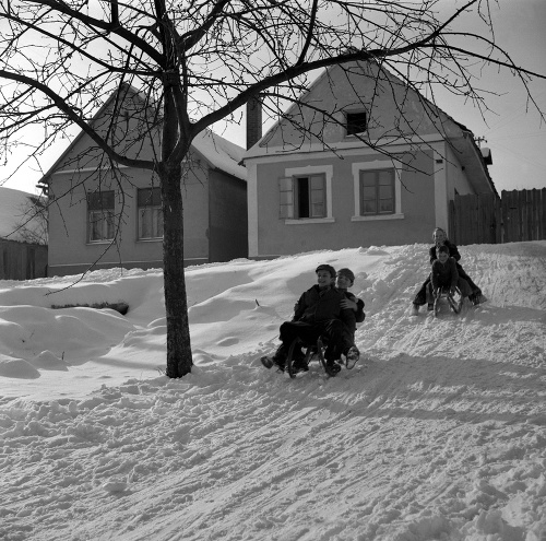 Zima mala svoje čaro aj v minulosti: Sánkovanie v obci Hliník (dnešný Limbach) v januári 1955.